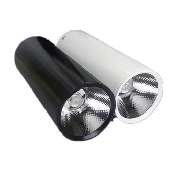  Гореща разпродажба 10 W/15 W/20 W/30 W Лампа за повърхностен монтаж LED spot лампа ING Led тавана лампа + Драйвер бял корпус черен корпус AC85-265V