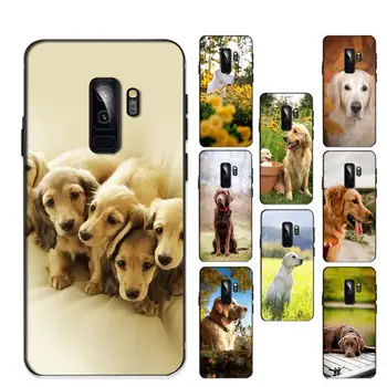  Калъф за мобилен телефон с кучето Лабрадором за Samsung Galaxy S 20lite S21 S21ULTRA s20 s20plus за S21plus 20UlTRA